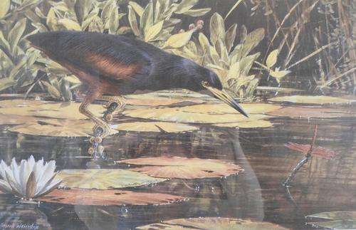 Ingrid Weiersbye - Limited edition wild life print