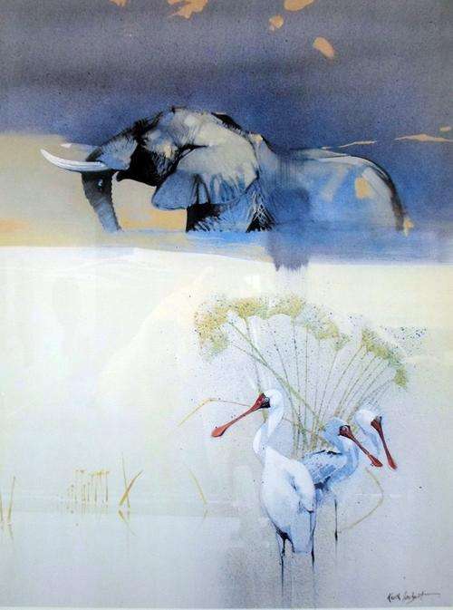 Keith Joubert - Limited edition Lithoprint - African Spoonbills - Offered at a low price!!