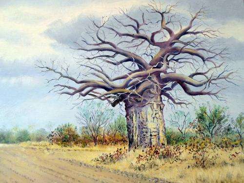 Dennis Hutchinson - Baobab Tree - A stunner! - Offered at a very low price, act fast!!