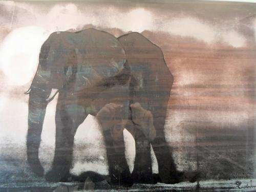 Gordon Vorster - Elephant - A real stunner!! Investment art!  Bid now!!
