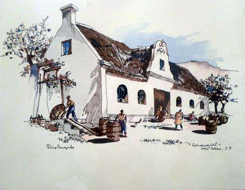 Phillip Bauwcombe - Schoongezight Wine Cellars - A little treasure! Bid now!