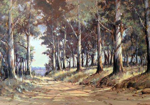 Francois Badenhorst - Bloekom trees with dirt road - A magnificent painting!! Bid now