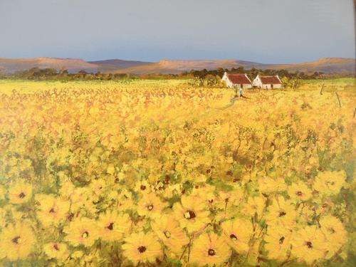Hester van der Berg - Field of yellow flowers - A magnificent painting! Bid now!