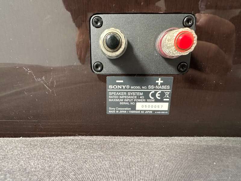 Sony SS-NA8ES 100W Center Speaker-Brown Wood