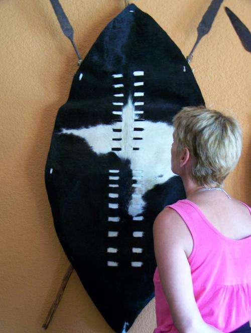 LARGE SHAKA ZULU SHIELD AND SPEARS
