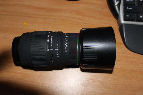 Sigma APO DG 70-300mm 1:4 -5.6 Lens Canon DSLR Fit