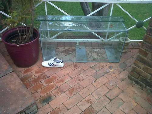 Fish Tank - 1100mm X 530mm X 400mm Great Condition
