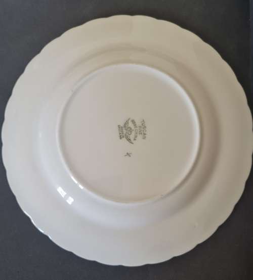 WOW! Rare pattern vintage Tuscan bone china trio. Stamped