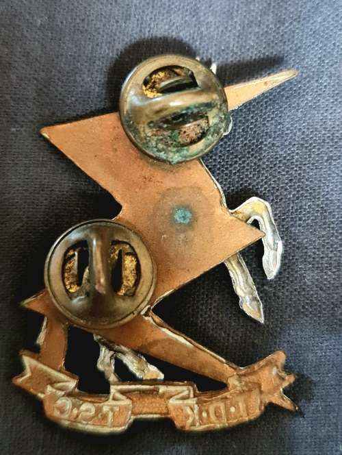 SOUTH AFRICA   Technical Service Corps (Tiffies) cap badge