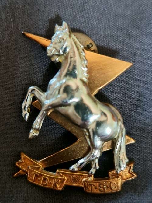 SOUTH AFRICA   Technical Service Corps (Tiffies) cap badge