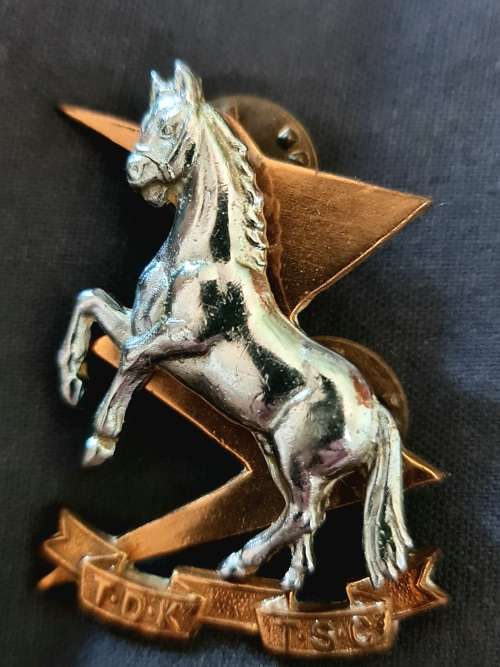 SOUTH AFRICA   Technical Service Corps (Tiffies) cap badge