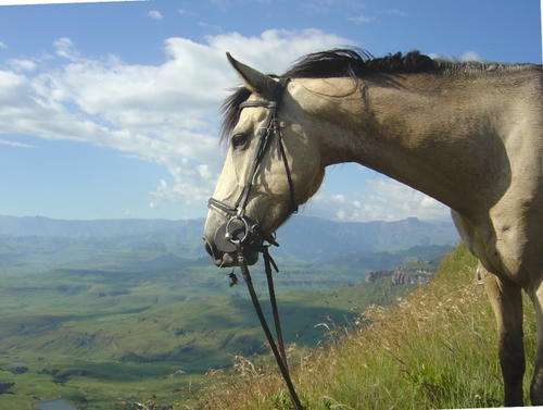 Midweek @ Qwantani lodge Sterk fontein dam Harrismith   1-5 June  3 Bedroom sleeps 6