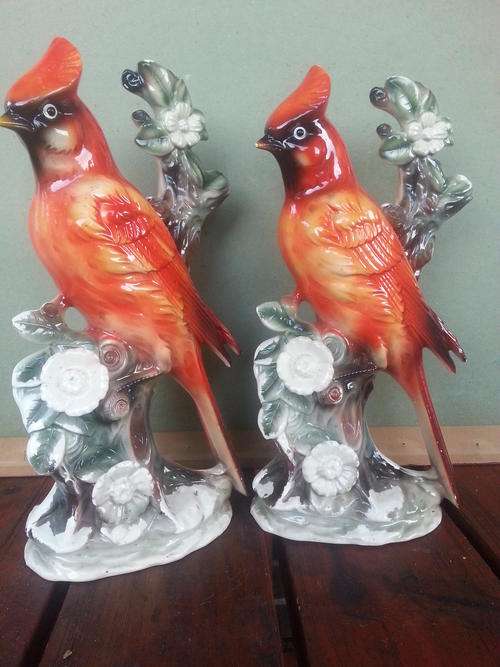 Beautiful pair of birds