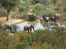 Midweek breakaway at Mabilingwe nature reserve 14-18 September 2 bedroom sleep 6