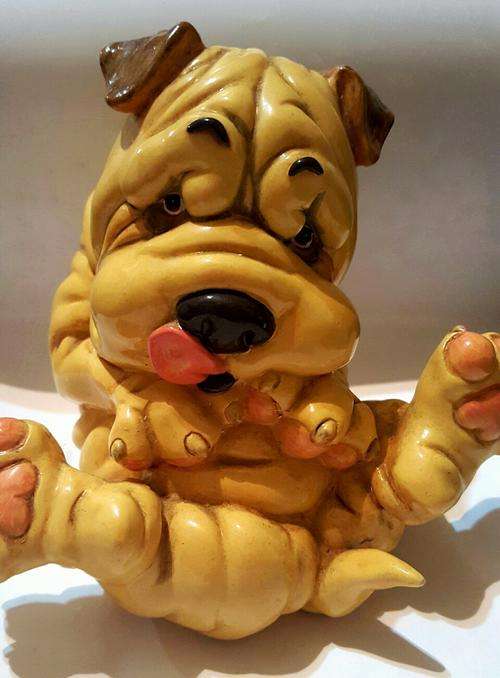 Very cute and unique Sharpei (dog) money box in excellent condition