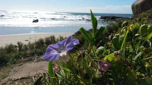 midweek at Carribean estate 4 Sleeper 11-15 April