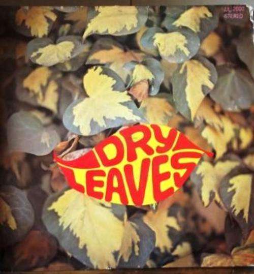 Dry Leaves/ David Thekwane/ local lp/ cover g+, vinyl ex