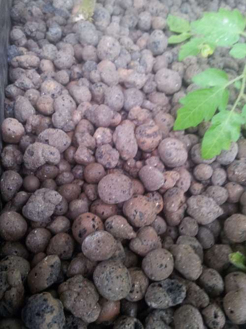 Leca, hydroball, hydroton for hydro- + aquaponics - brown