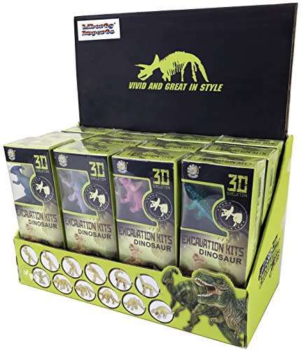 3D Excavation Kit Box Set of 12