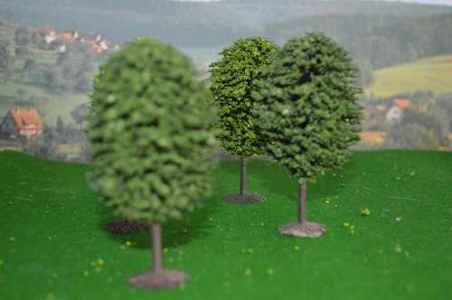 Ho pine/fur trees 11cm