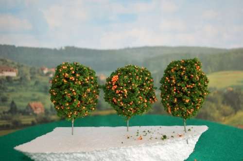Ho fruit trees 7cm each