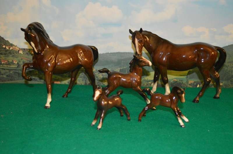 A beautiful set of Beswik chestnut horses with foals
