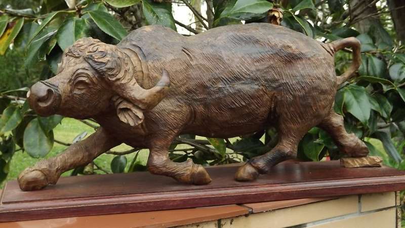 Very large from the 80's ironwood carved buffalo of rosewood base