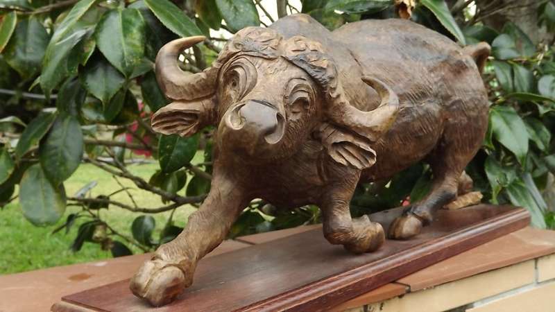 Very large from the 80's ironwood carved buffalo of rosewood base