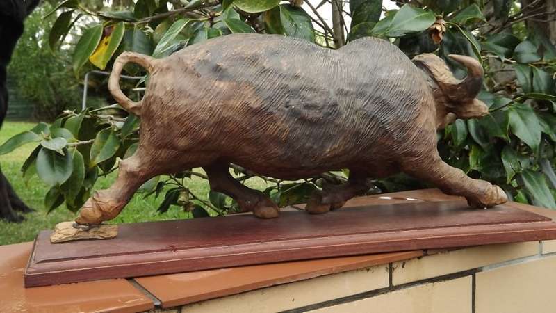 Very large from the 80's ironwood carved buffalo of rosewood base
