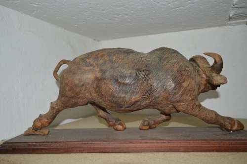 Very large from the 80's ironwood carved buffalo of rosewood base