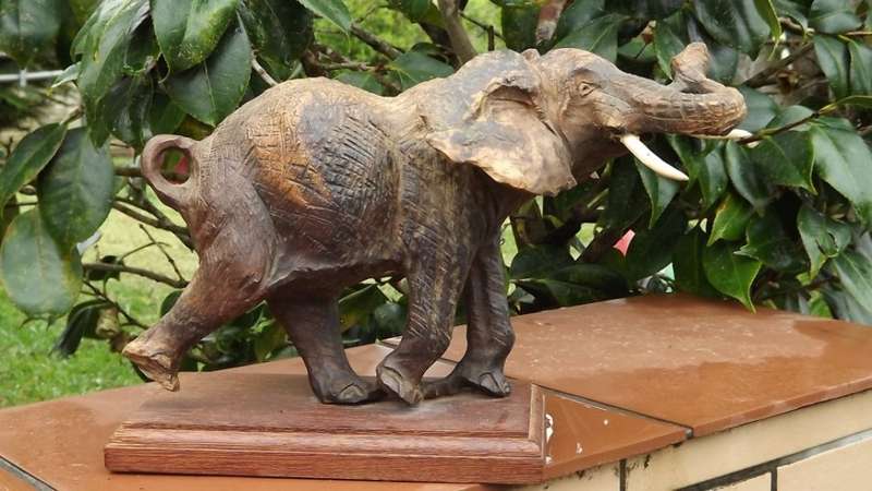Very large from the 80's ironwood carved buffalo of rosewood base