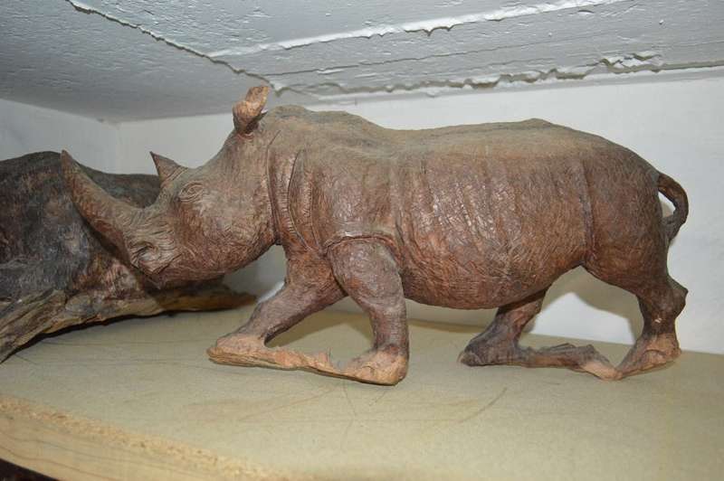 Very large from the 80's ironwood carved buffalo of rosewood base