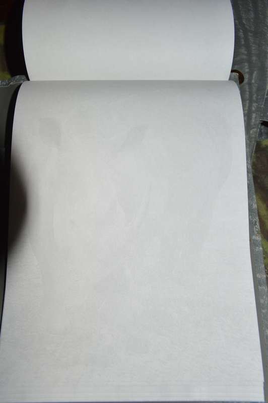 $$$Very nice and clean Buffalo hide Diary, Writting paper and envelopes, Phone book and money wallet