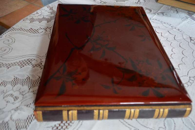 Antique Japanese Meiji Era Shibayama Photo Album 50 Hand Coloured Albumen Photos 1850-1899