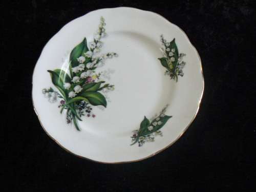 QUEEN ANN ENGLAND STUNNING PLATE WITH GOLD RIM