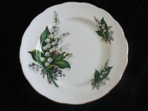 QUEEN ANN ENGLAND STUNNING PLATE WITH GOLD RIM