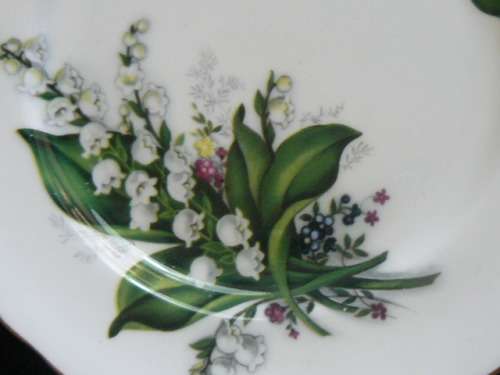 QUEEN ANN ENGLAND STUNNING PLATE WITH GOLD RIM