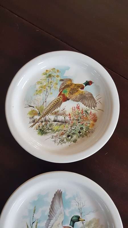 pottery type shallow bowls x 2 very nice bird pics