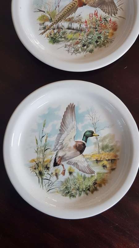 pottery type shallow bowls x 2 very nice bird pics