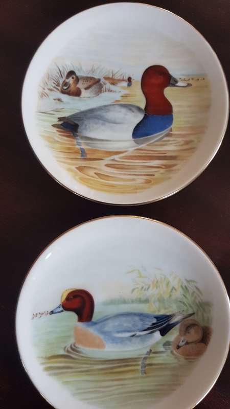 set of 4 bird plates lovely