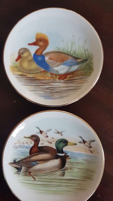 set of 4 bird plates lovely