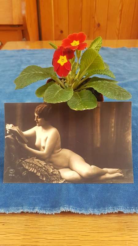 1940-50s  Paris vintage print post card size