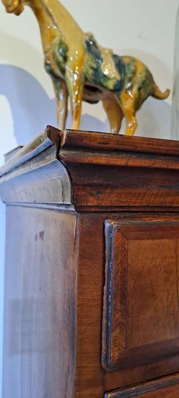 18 Century wall nut chest on stand George 11
