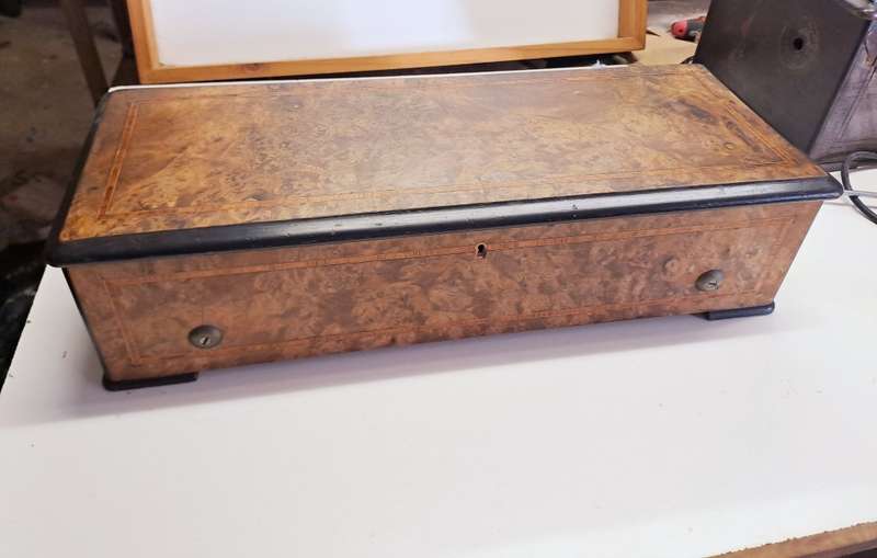 Victorian bur wallnut  music box