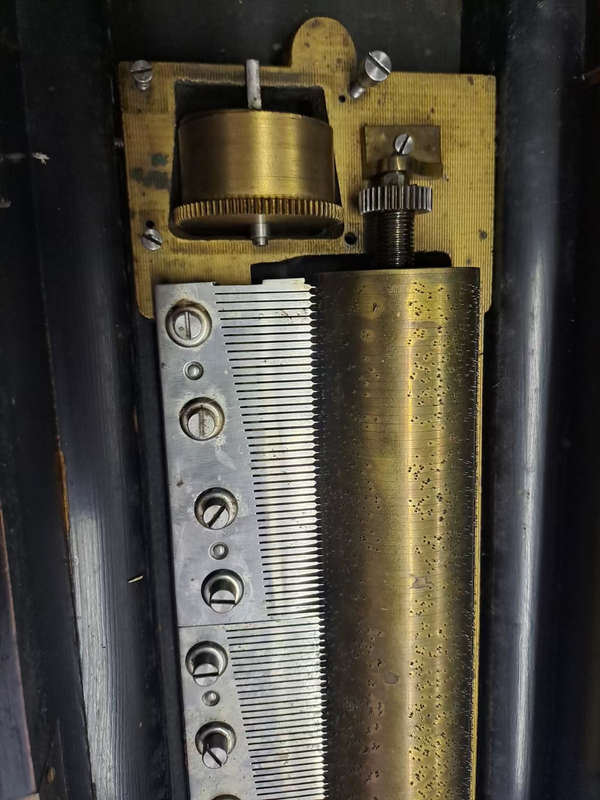 Victorian bur wallnut  music box
