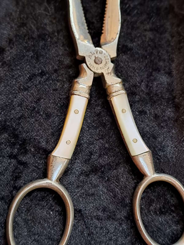 German  Solingen sugar cube knippers/scissors with mother of pearl