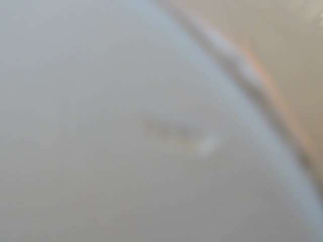 VINTAGE LARGE PLATTER BURLEIGH WARE