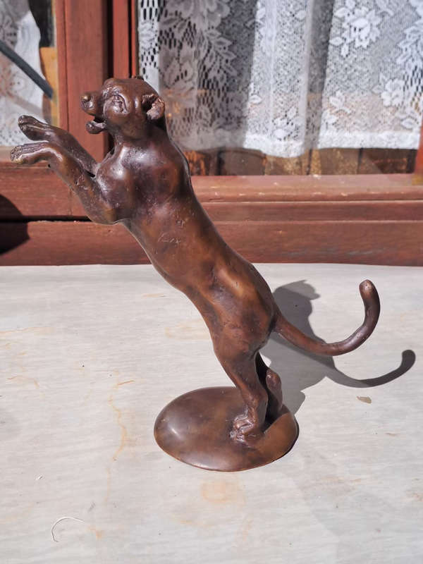 Bronze Panther male