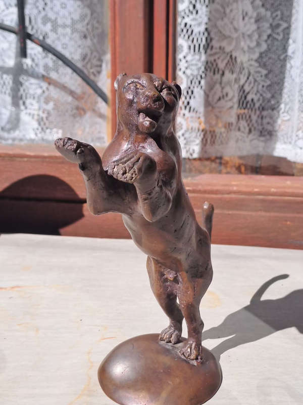 Bronze Panther male