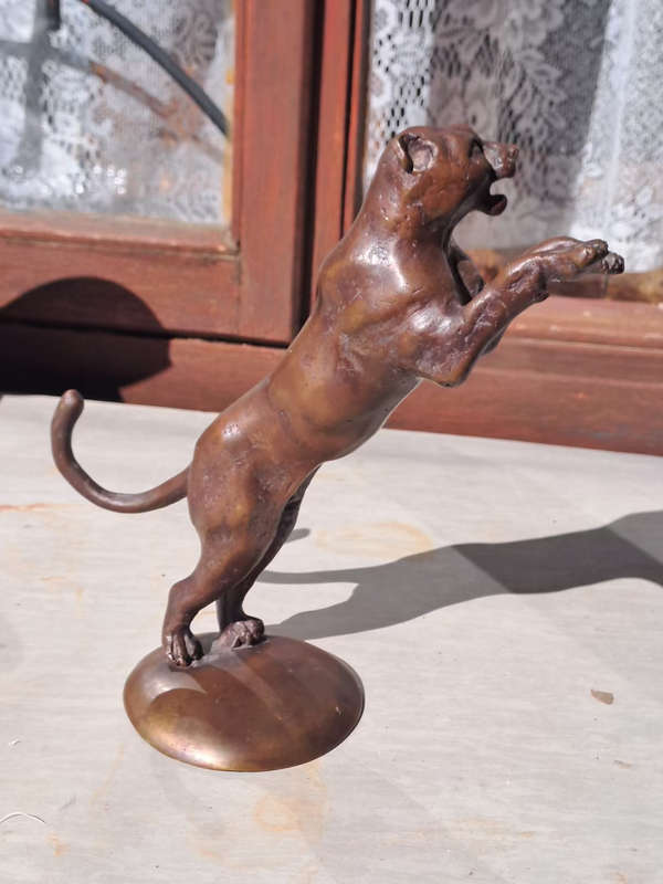 Bronze Panther male